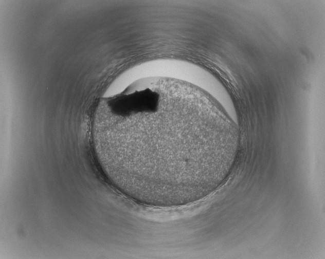 X0000114490029200911301115