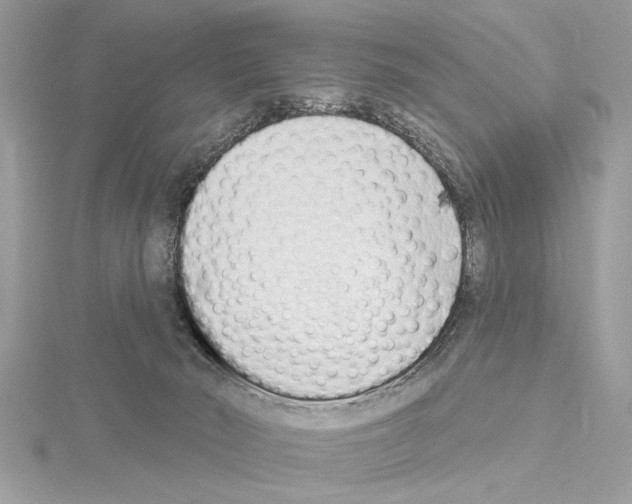 X0000114490030200911301115