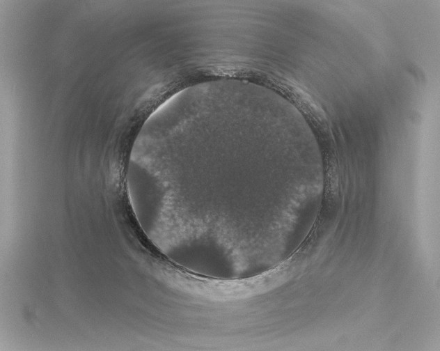 X0000114490031200911301115