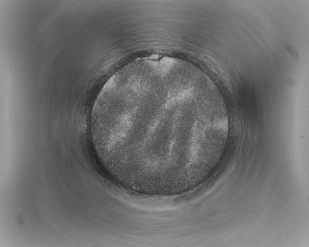 X0000114490032200911301115