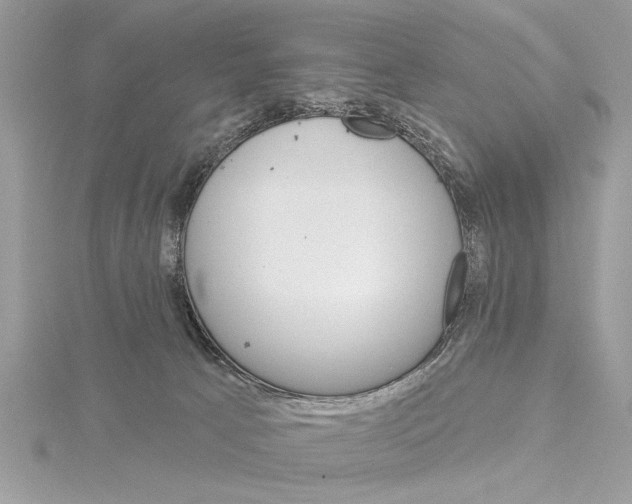 X0000114490033200911301115