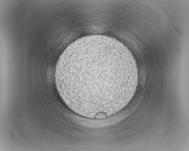 X0000114490034200911301115