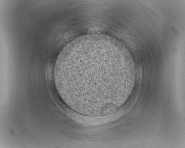 X0000114490038200911301115