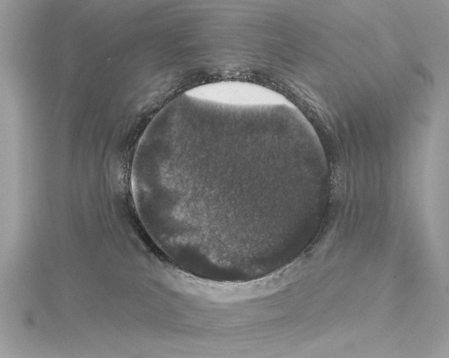 X0000114490039200911301115