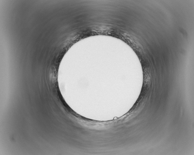 X0000114490040200911301115