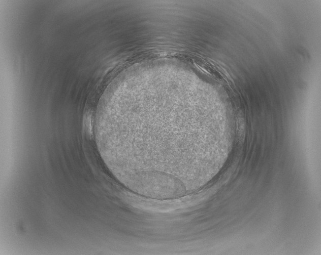 X0000114490042200911301115