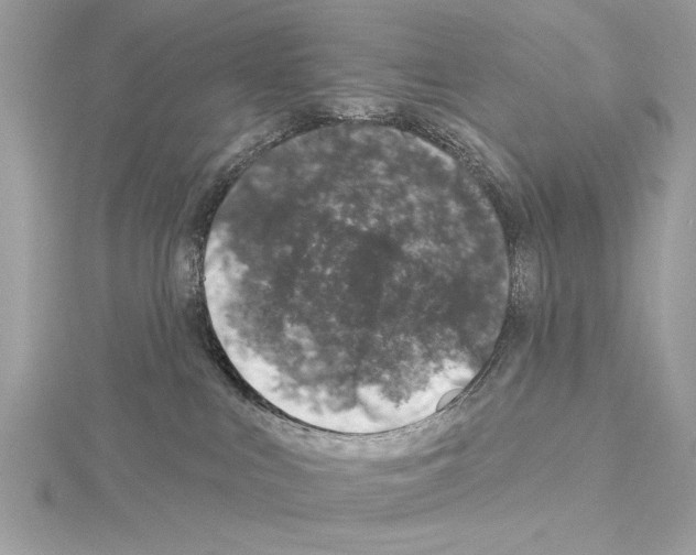 X0000114490043200911301115