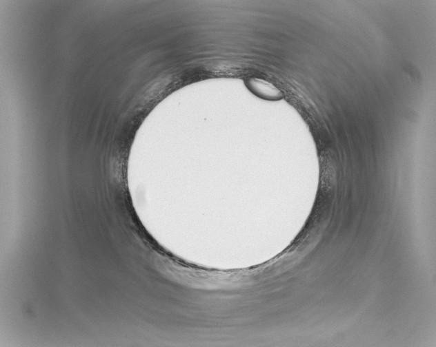 X0000114490044200911301115