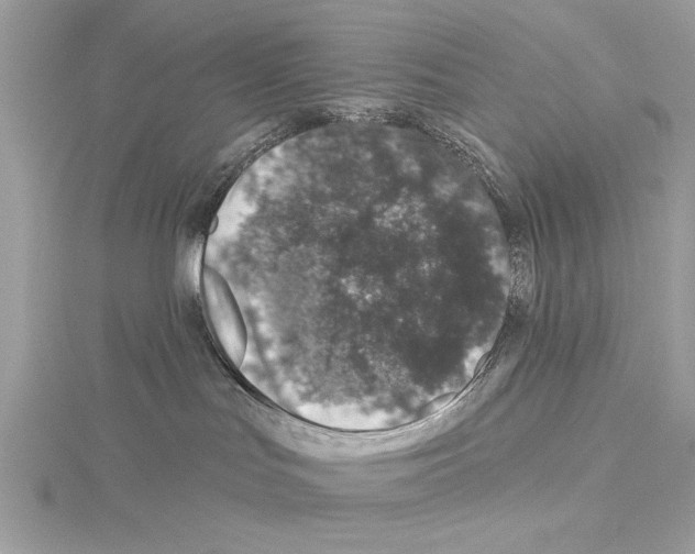 X0000114490047200911301115