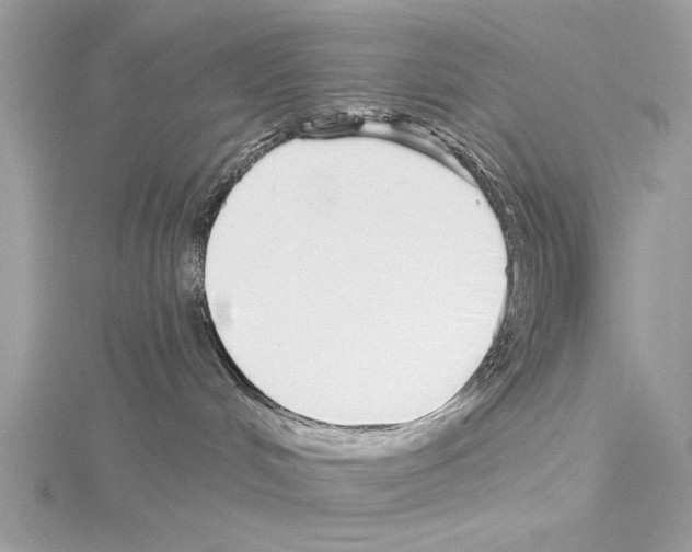 X0000114490048200911301115