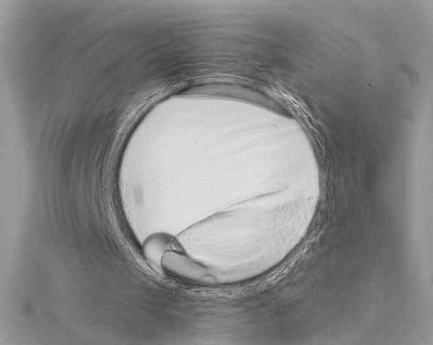 X0000114490049200911301114