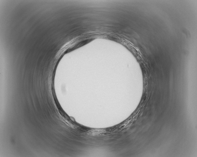 X0000114490051200911301114