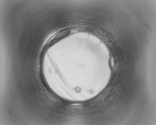 X0000114490053200911301114