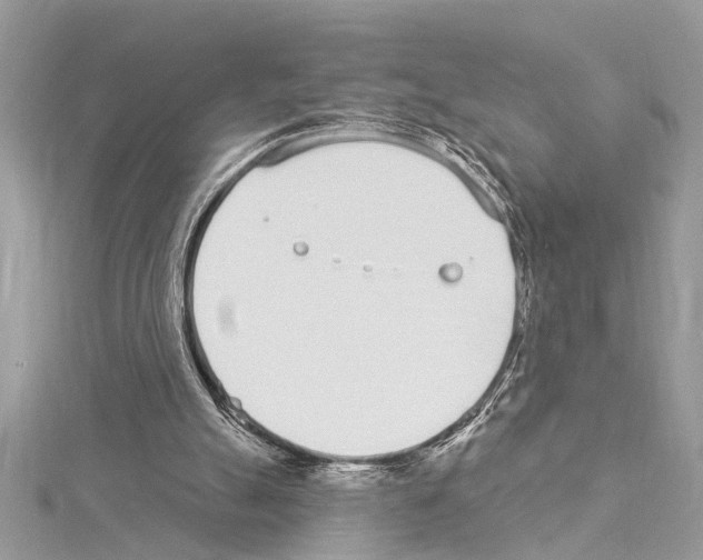 X0000114490055200911301114