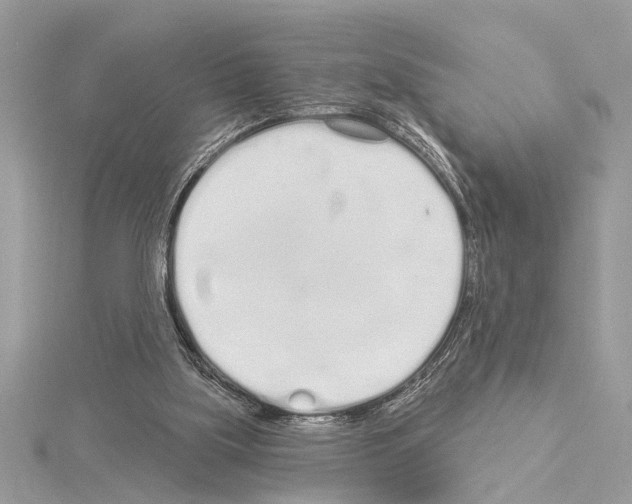 X0000114490059200911301115