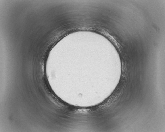 X0000114490061200911301115