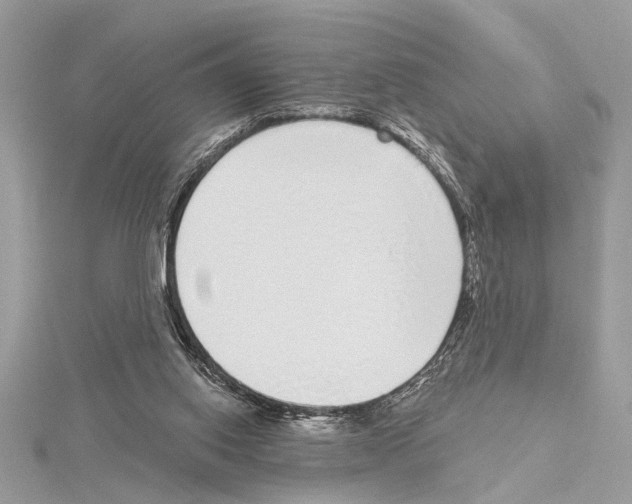 X0000114490062200911301115