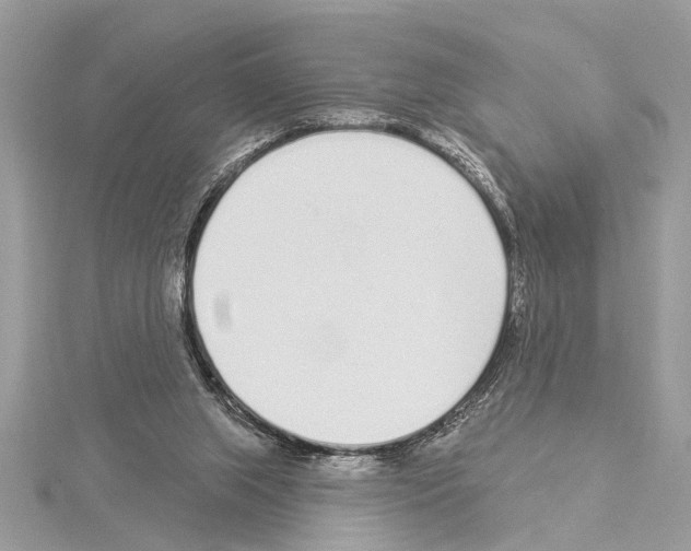 X0000114490063200911301115