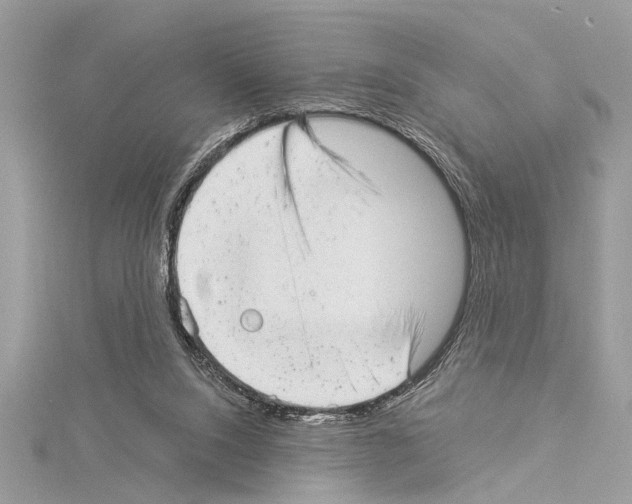 X0000114490064200911301115