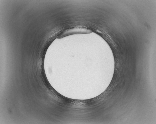 X0000114490066200911301115