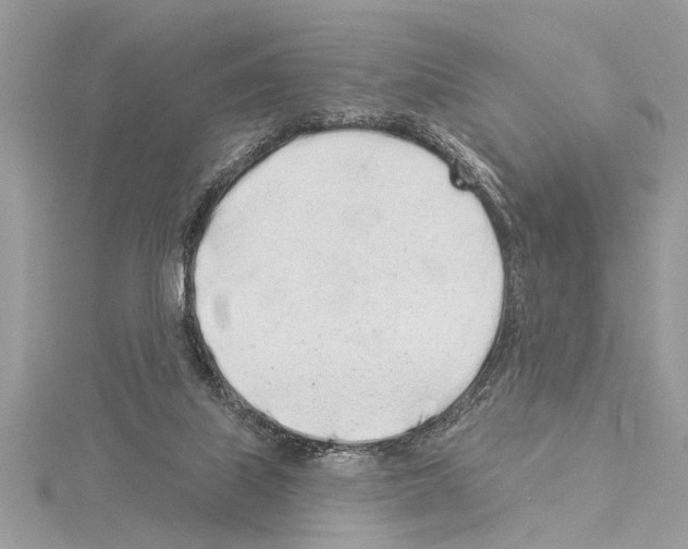 X0000114490067200911301115