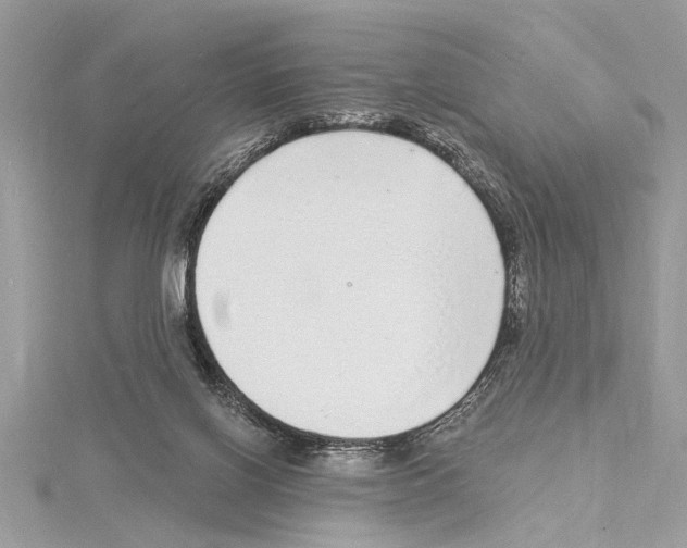 X0000114490070200911301115