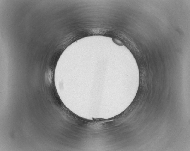 X0000114490075200911301115