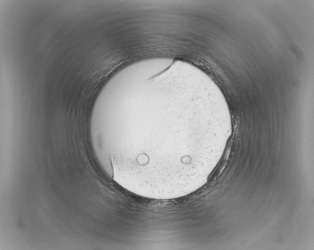 X0000114490076200911301115