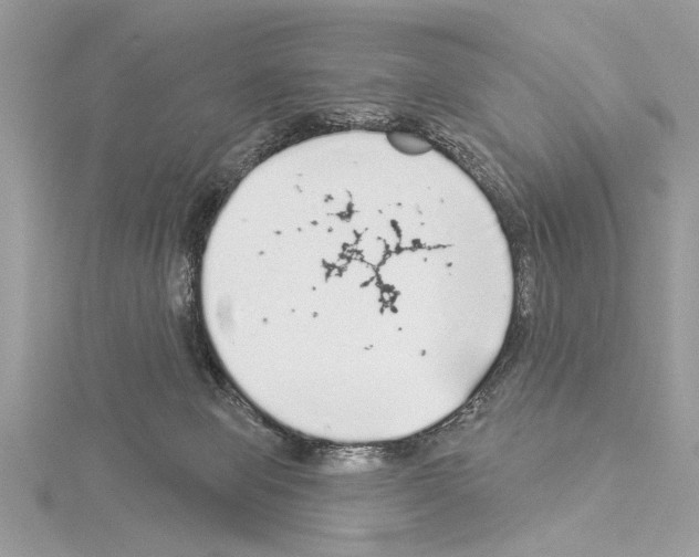 X0000114490077200911301115