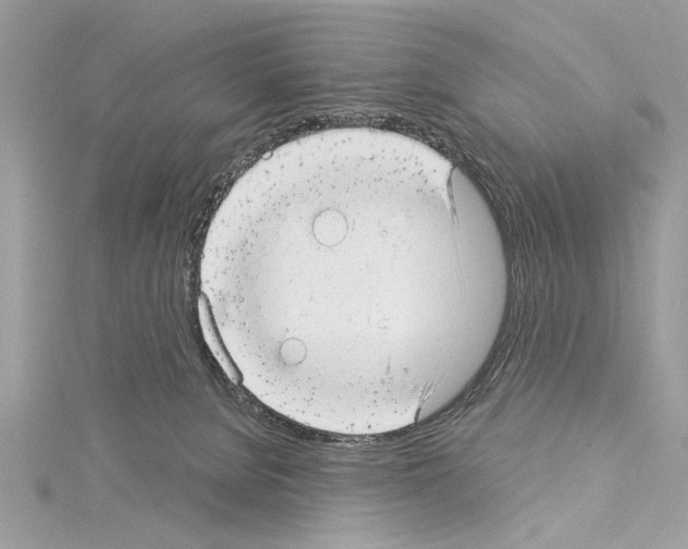 X0000114490080200911301115