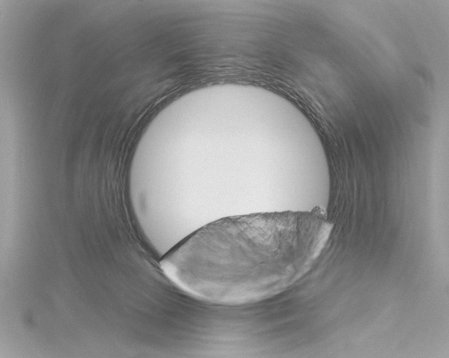 X0000114490081200911301115