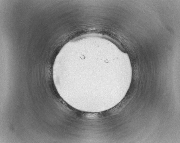 X0000114490085200911301115