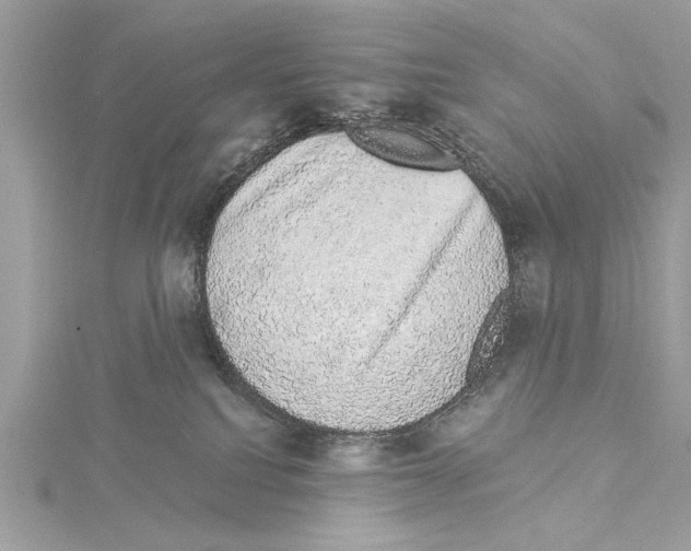 X0000114490088200911301115