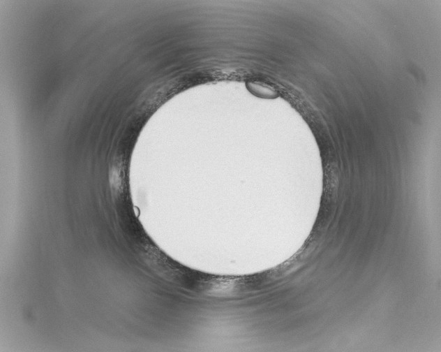 X0000114490090200911301115