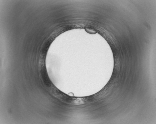 X0000114490091200911301115