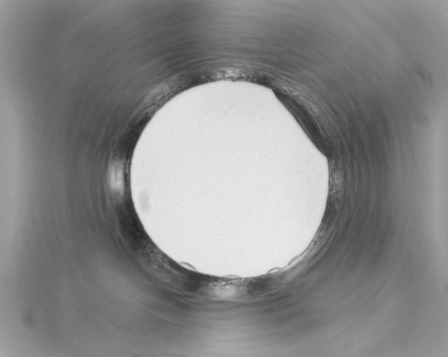 X0000114490094200911301115