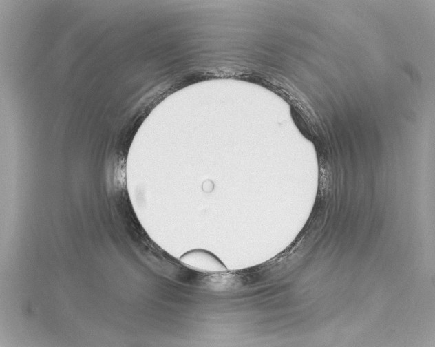 X0000114490095200911301115