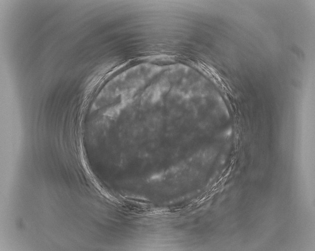 X0000114490097200911301114