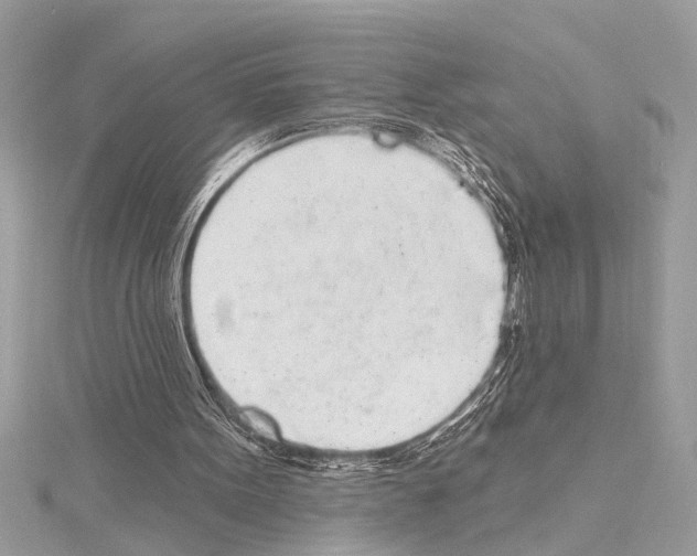 X0000114490099200911301114