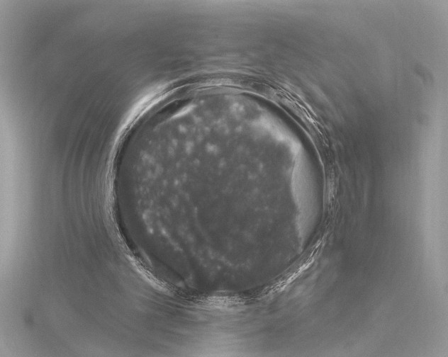 X0000114490101200911301114