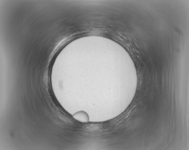 X0000114490102200911301114