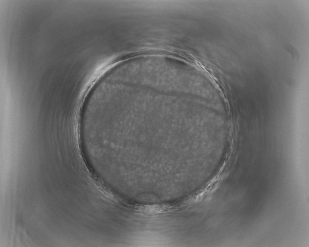 X0000114490103200911301114