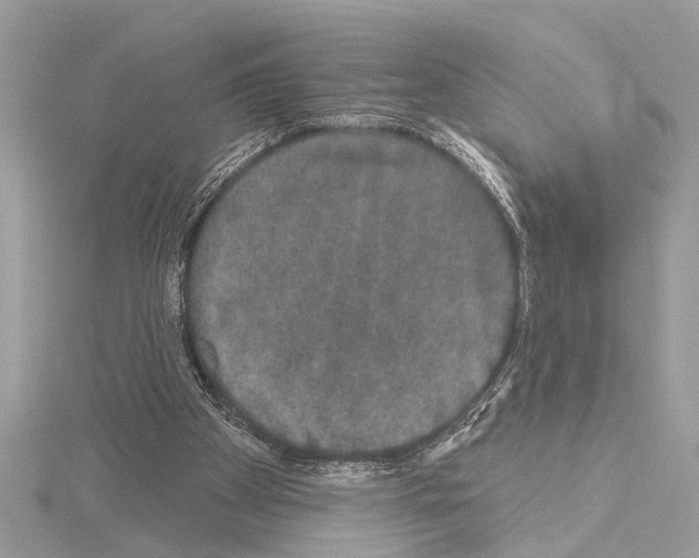 X0000114490105200911301114