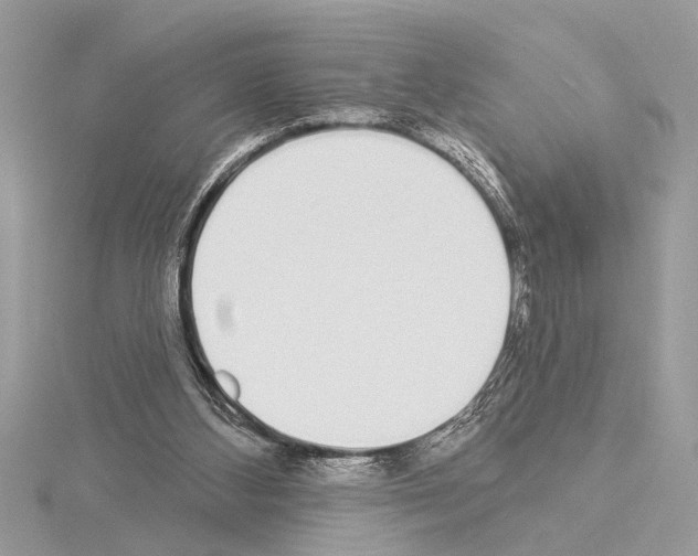 X0000114490108200911301114