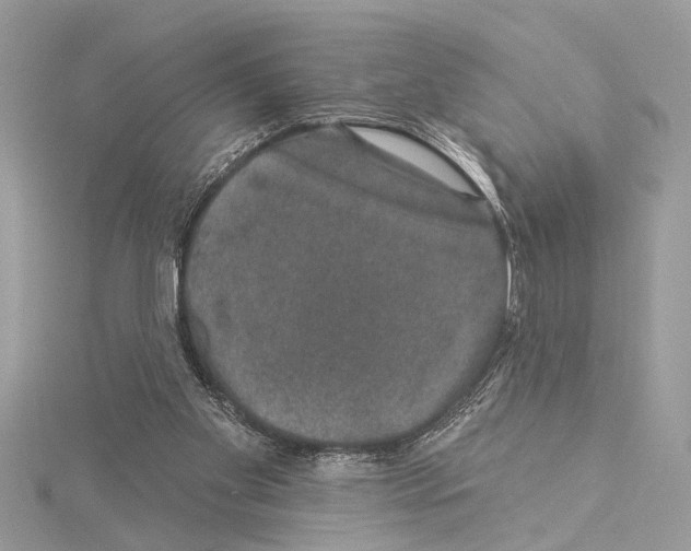 X0000114490109200911301114