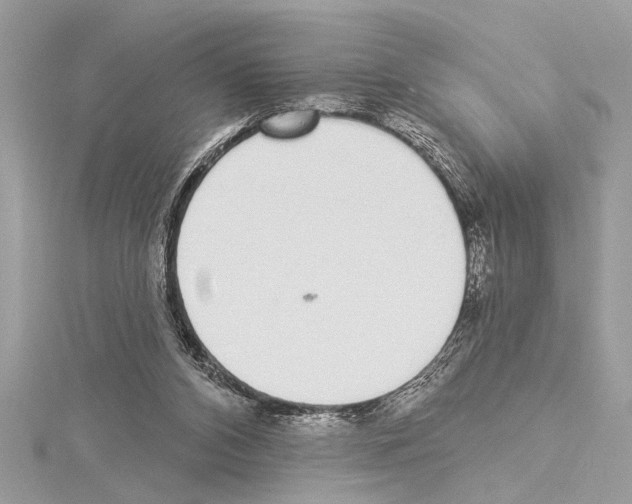 X0000114490112200911301114