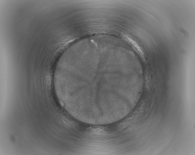 X0000114490113200911301114