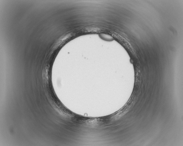 X0000114490116200911301114