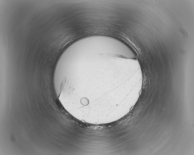 X0000114490117200911301114