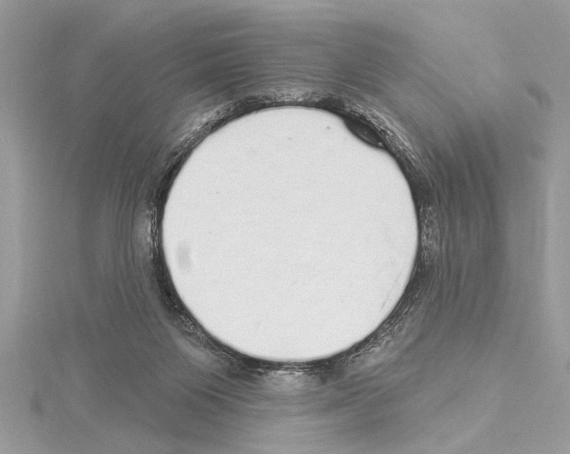 X0000114490119200911301114